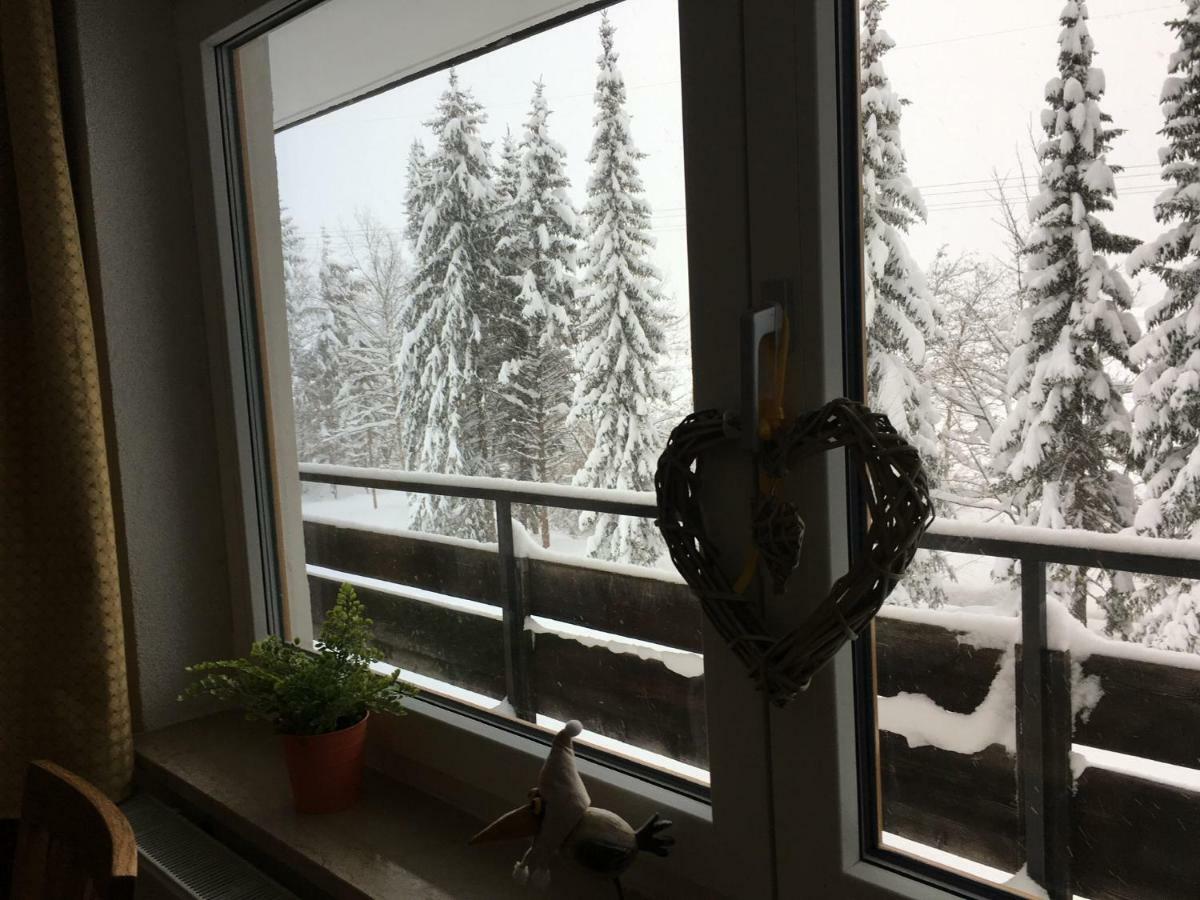 Karwendel-Lodge シャルニッツ エクステリア 写真